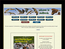 Tablet Screenshot of mullbirds.com